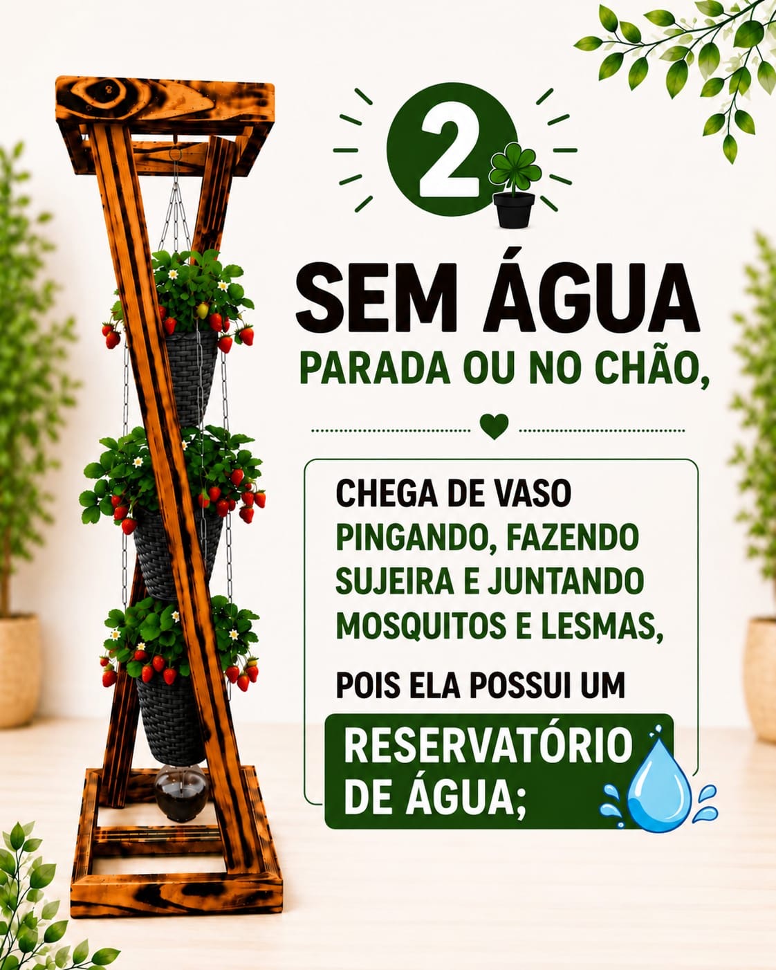 Sem água parada